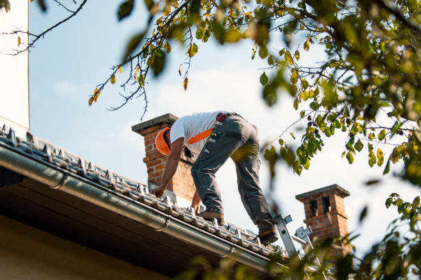 Best Roof Waterproofing Services  in Rogersville, AL