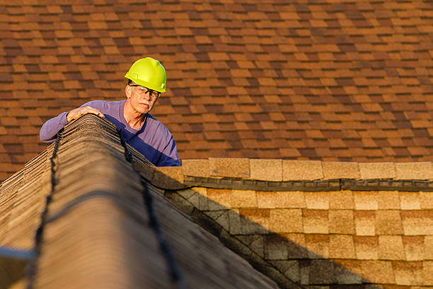 Professional Roofing Contractor in Rogersville, AL