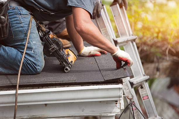 Best Commercial Roof Installation  in Rogersville, AL
