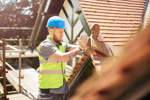 Best Flat Roof Repair Services  in Rogersville, AL